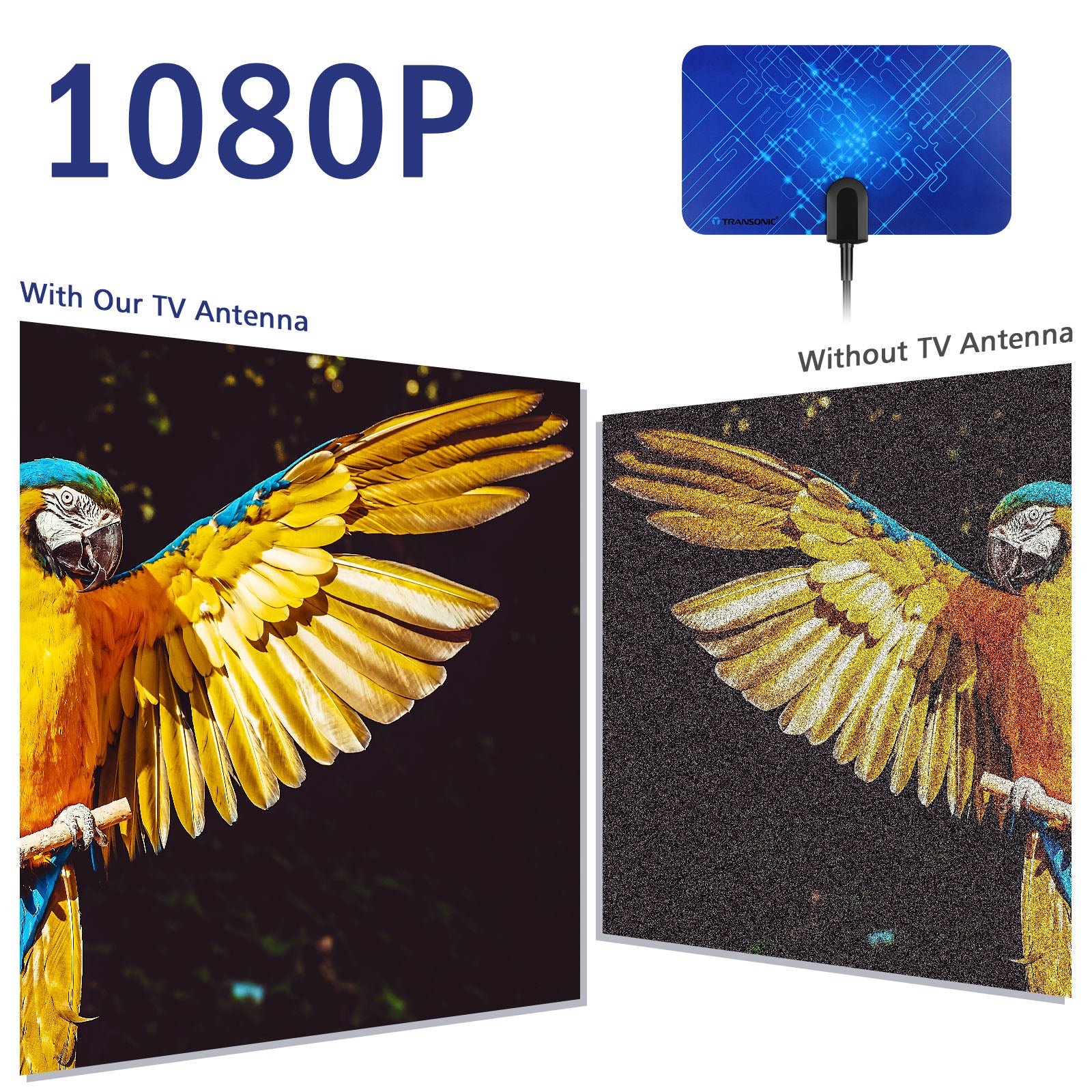 Transonic B100 Indoor Digital Flat TV Antenna
